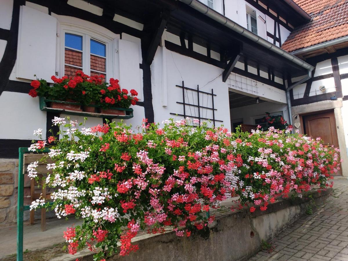Chambres D'Hotes Sabine Billmann Hunspach Exterior foto